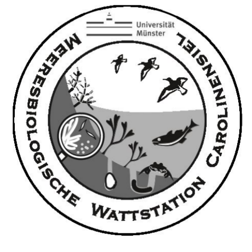 Meeresstation Carolinensiel